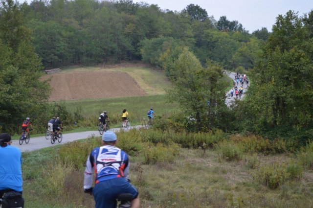 Miholje 2012
